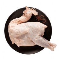 生鸡肉