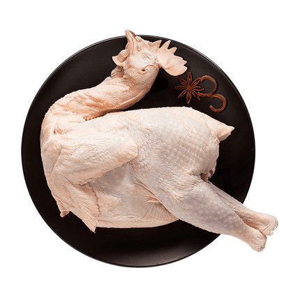 生鸡肉